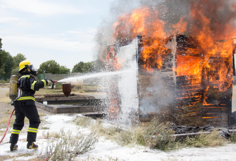 Forest Bonfire Breeding Rules
